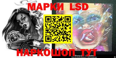 мдпв Донецк