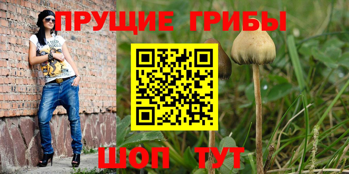 Ликино-Дулёво  Галлюциногенные грибы Psilocybe  Галлюциногенные грибы Psilocybe  Вход с VPN 
